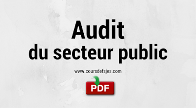 Audit du secteur public,